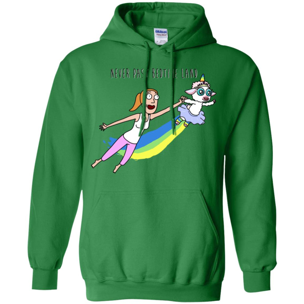 Rick And Morty Summer Never Past Bedtime Land Men Pullover Hoodie